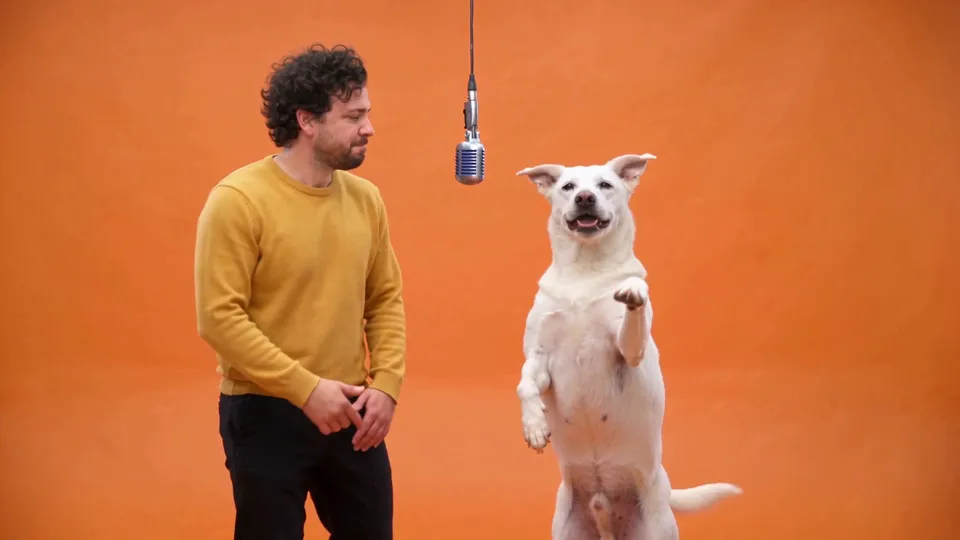 The Motion transfer result: a man in a mustard sweater and a white dog on its hind legs at the same mic on the same orange set